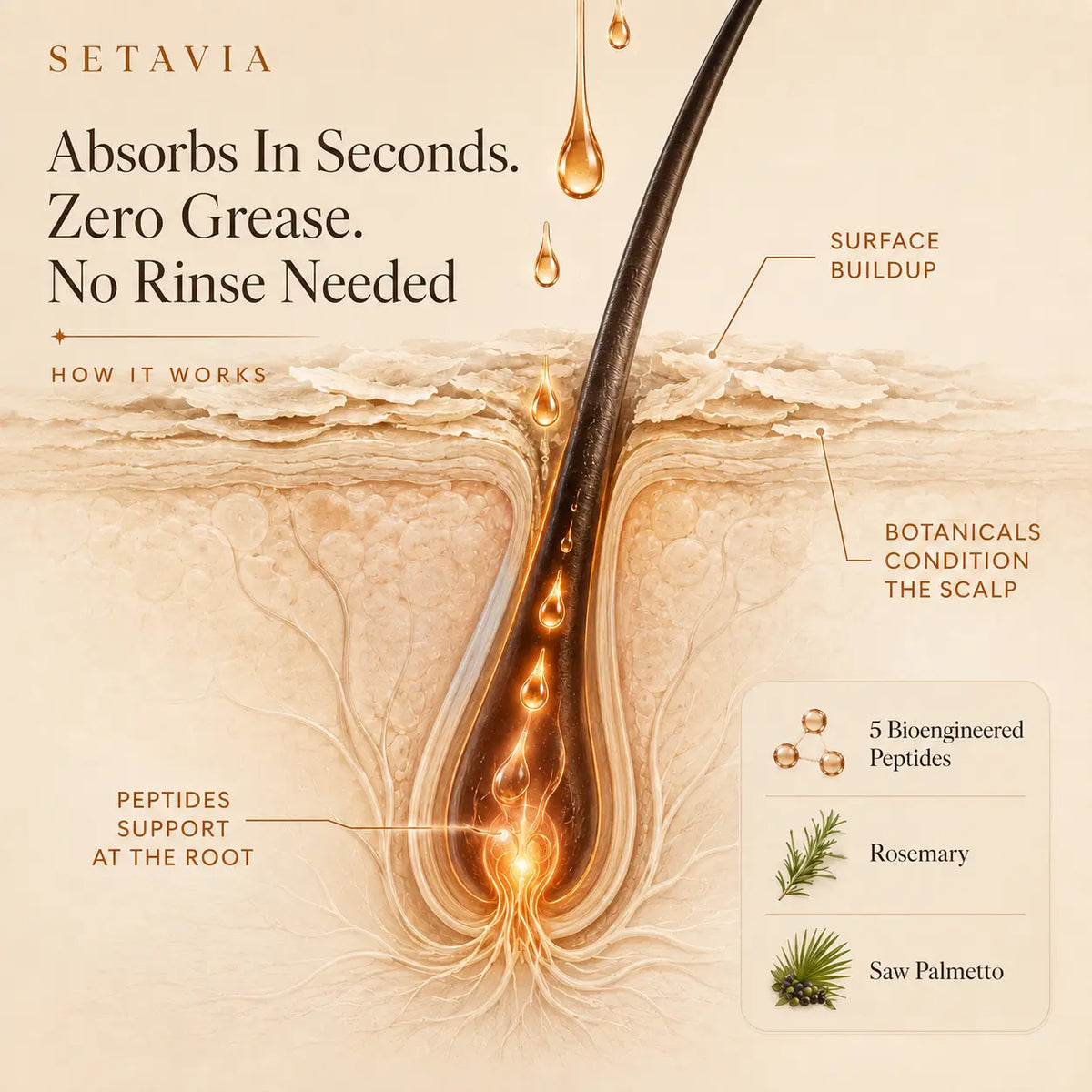 Setavia Peptide Serum